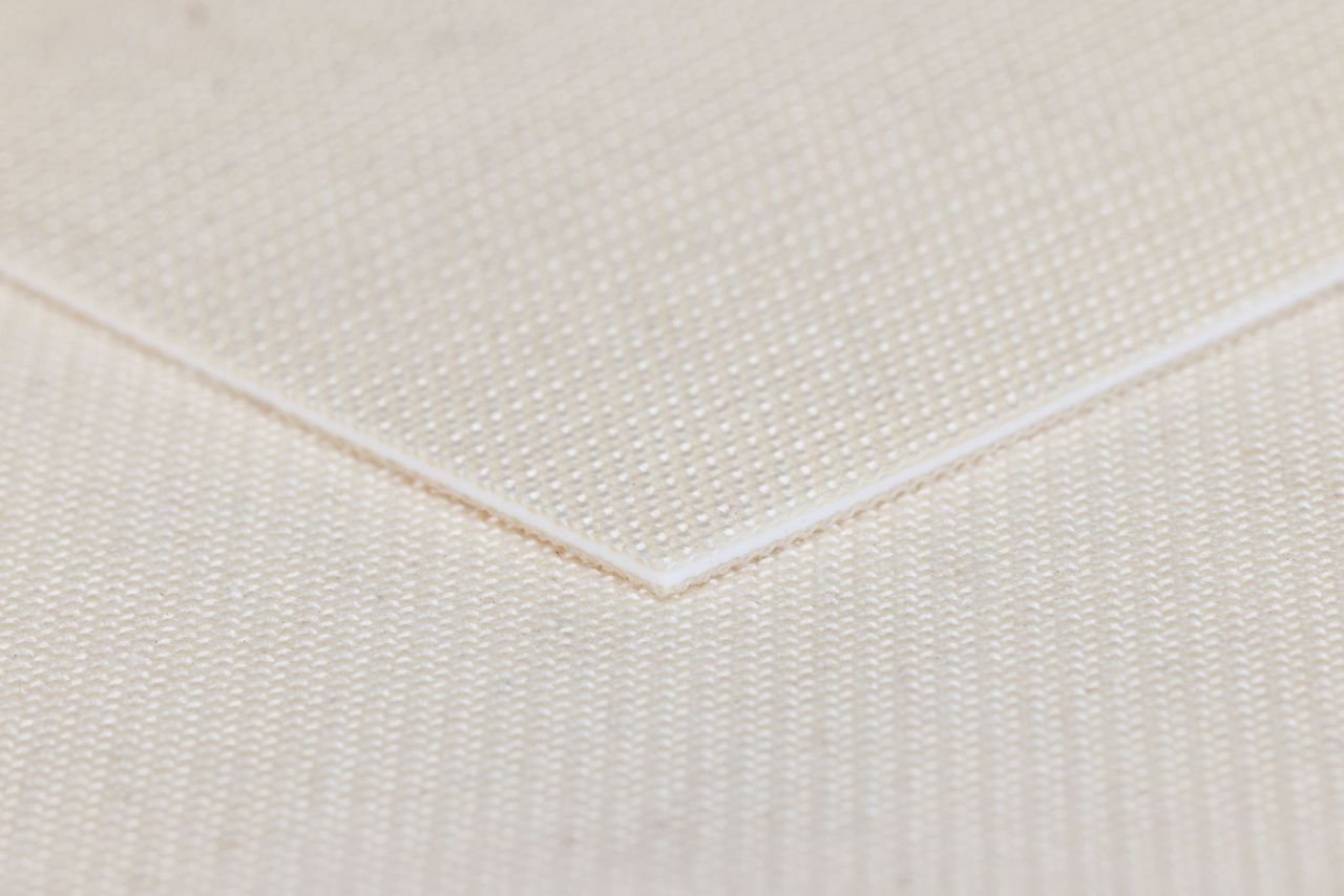 Belting Food Quality Polyester 2 Ply 2000mm Fabric Top Natural / Fabric Back Natural (DD16P Bakery Belting)