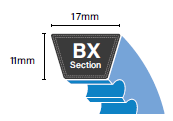 BX Section