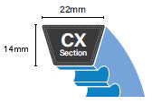 CX Section